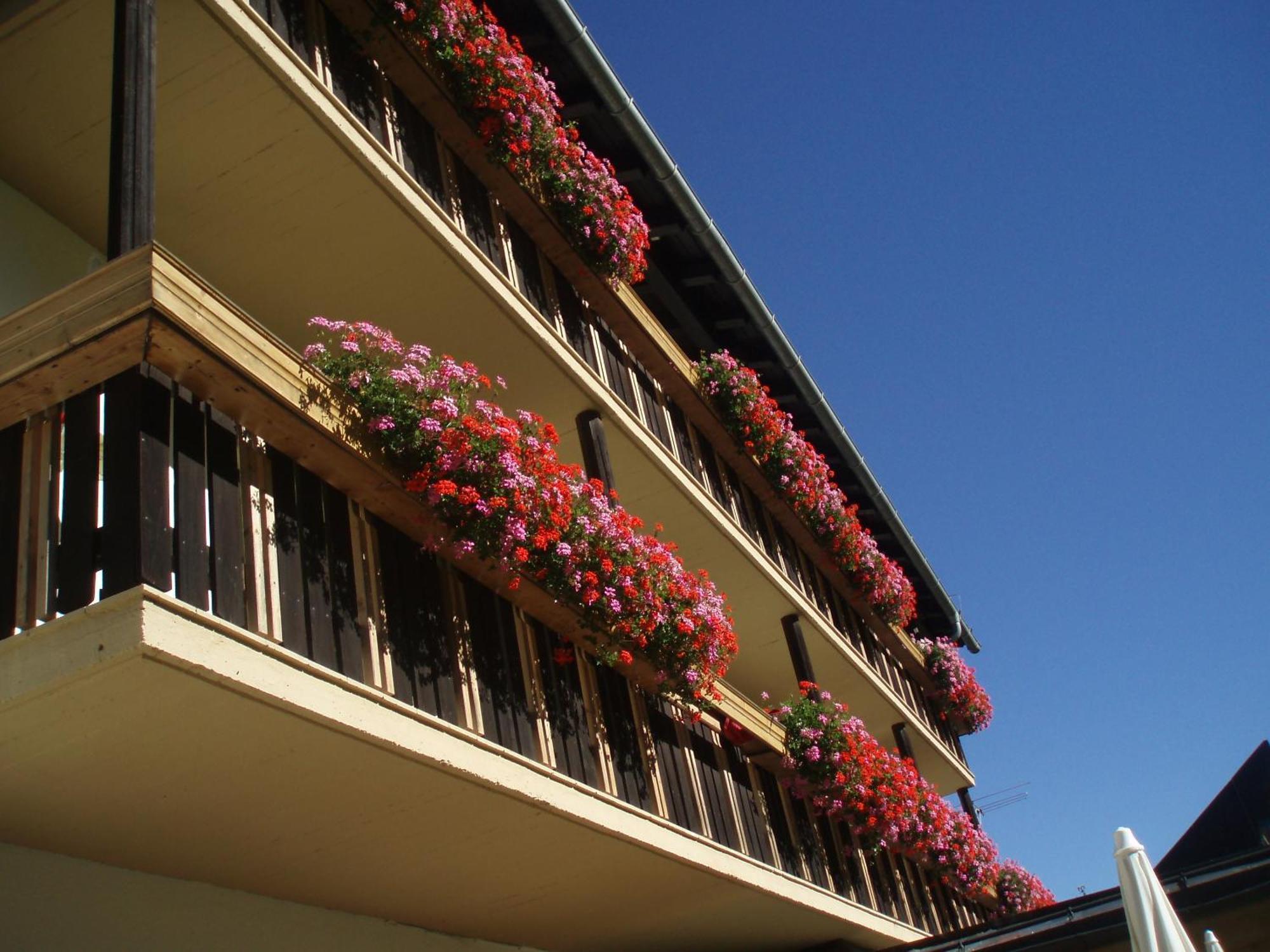 Laerchenhof Hotel Sankt Jakob in Defereggen Exterior foto